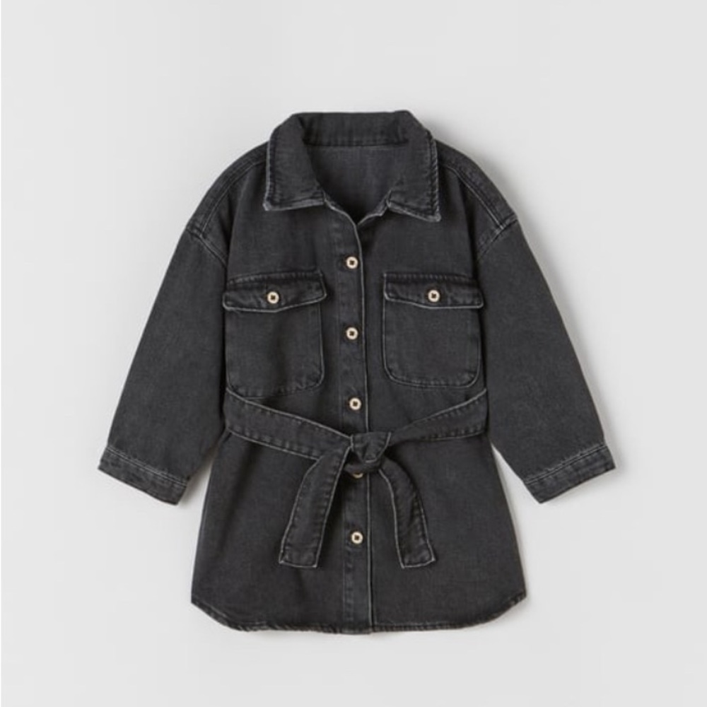 Zara Toddler Denim Shirt Dress